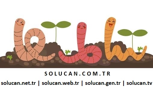 solucan.com.tr e-ticaret projesi & web sitesi için yatırımcı iş ortağı arıyoruz.